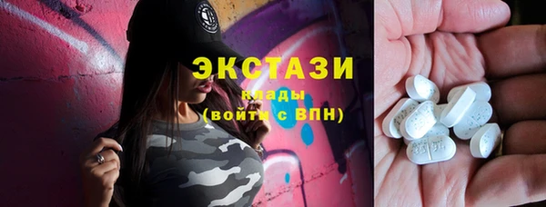 амф Снежногорск