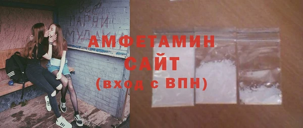 амф Снежногорск