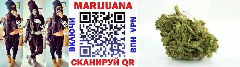 мориарти телеграм  Коряжма  Канабис план 